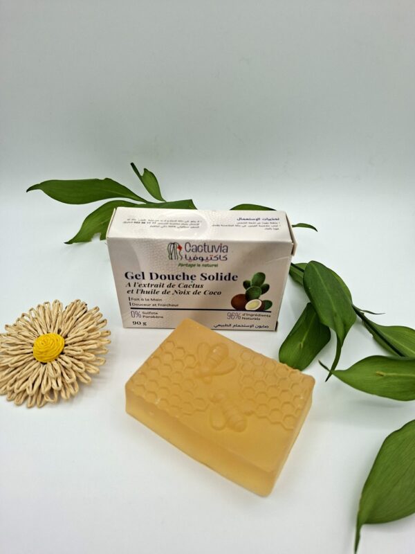 Gel douche solide CACTUVIA
