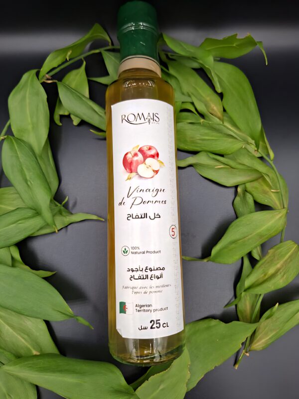 Vinaigre de Pomme naturel ROMAIS