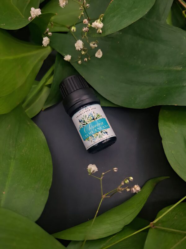 Calme enfant OLENCIA