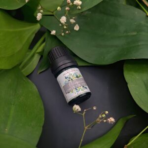 Aphtes et abcès OLENCIA