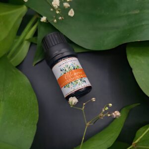 Ballonnements et coliques OLENCIA