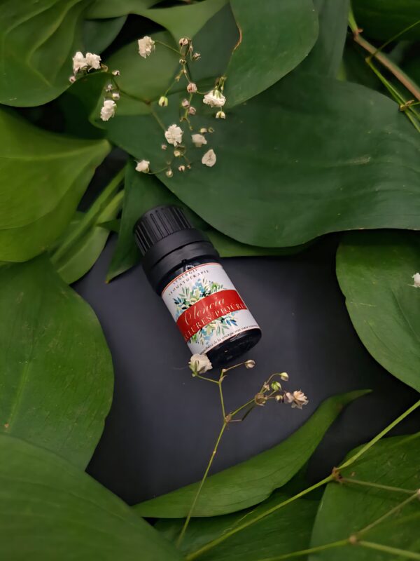 Brûlures et piqûres OLENCIA