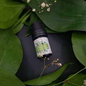 Mémoire jour OLENCIA