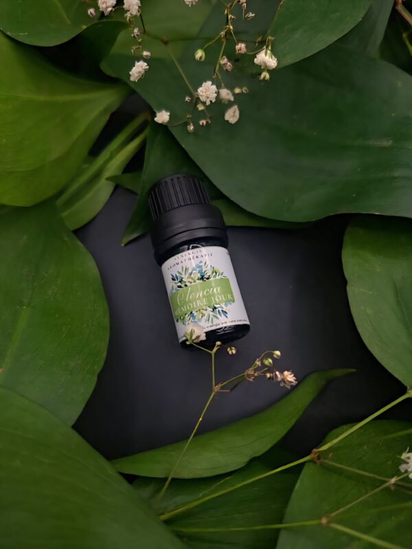 Mémoire jour OLENCIA