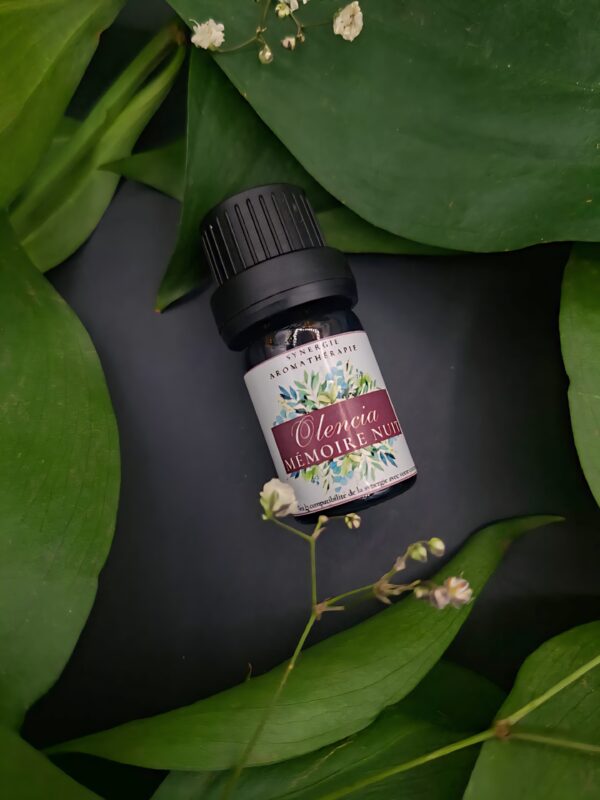 Mémoire nuit OLENCIA