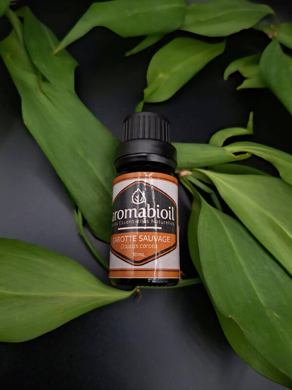 Carotte sauvage AROMABIOIL