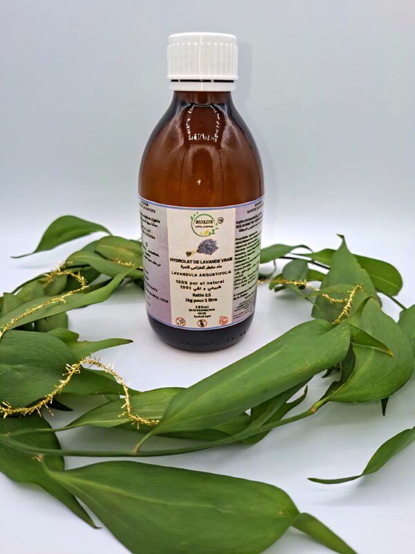 Hydrolat de Lavande Vraie BIOAZIR