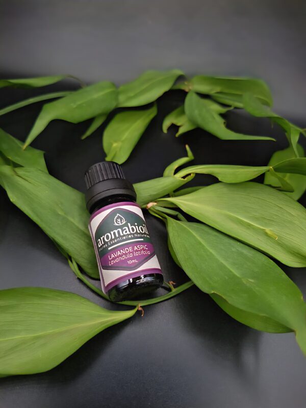 Lavande Aspic AROMABIOIL
