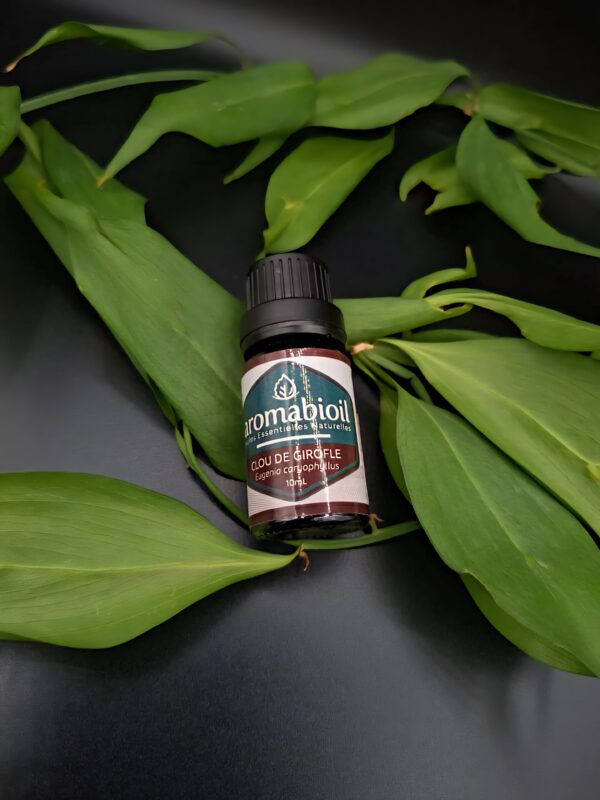 Clou de Girofle