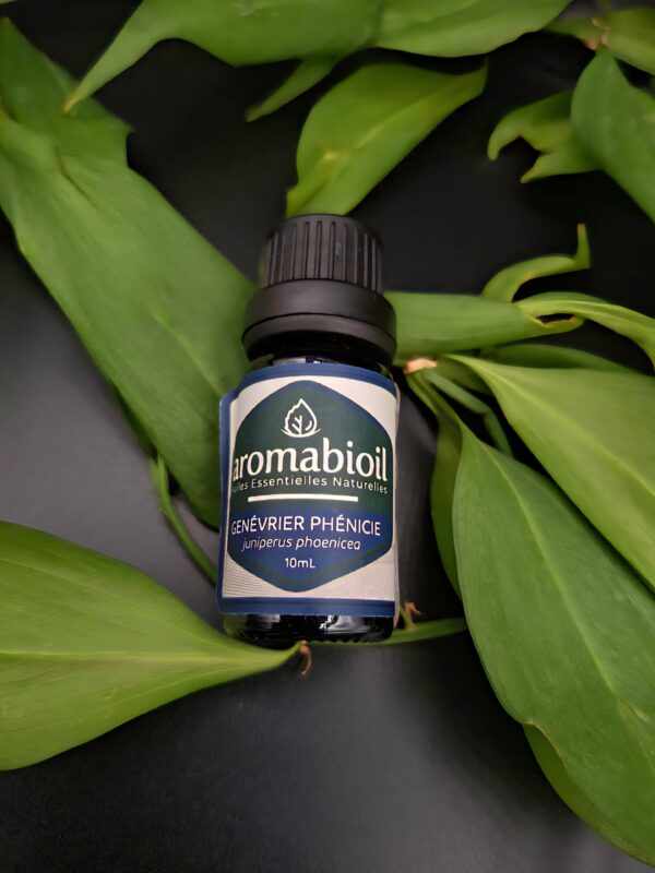 Genévrier Phénice AROMABIOIL