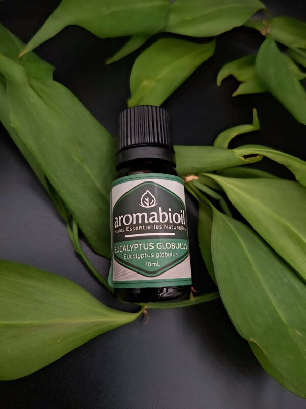 Eucalyptus Globulus AROMABIOIL