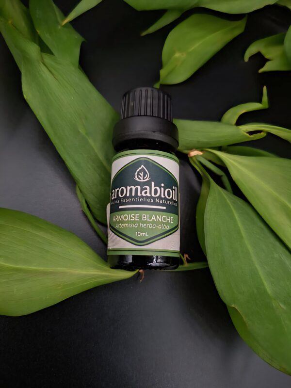 Armoise Blanche AROMABIOIL