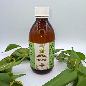 Hydrolat de Menthe Verte BIOAZIR