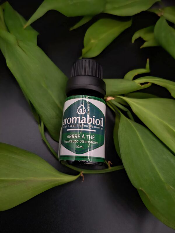 Arbre à Thé AROMABIOIL
