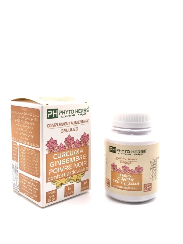 Curcuma Gingembre Poivre Noir PHYTO HERBS