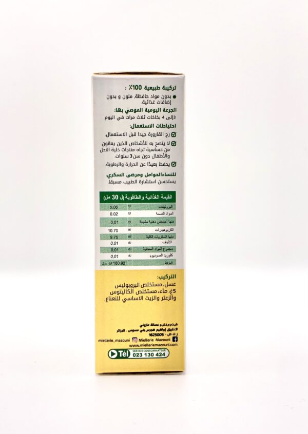 Melli Spray Propolis Eucalyptus MELLICURE