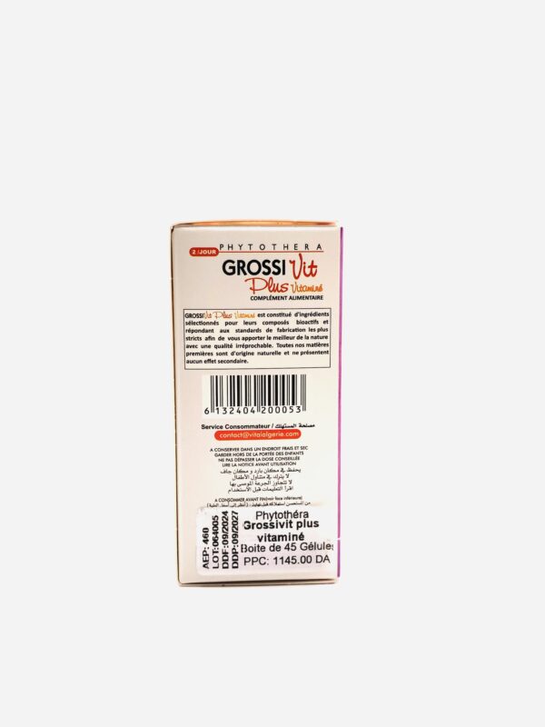 Grossi Vit Gelules PHYTOTHERA