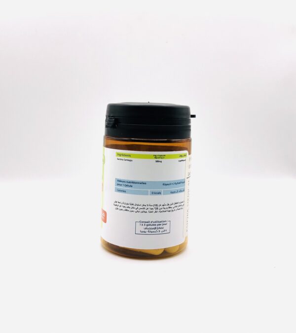 Garcinia Cambogia BPN