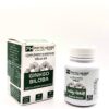 Ginkgo Biloba PHYTO HERBS