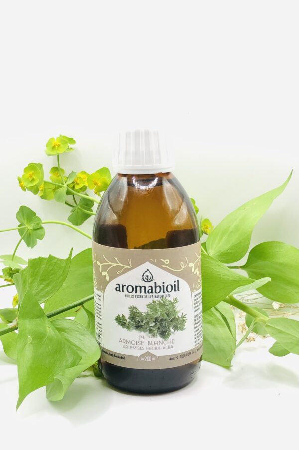 Hydrolat Armoise Blanche