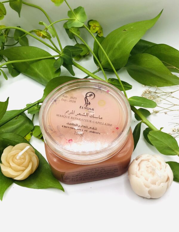 Masque réparateur capillaire (cheveux secs et abimés) ELYOSR