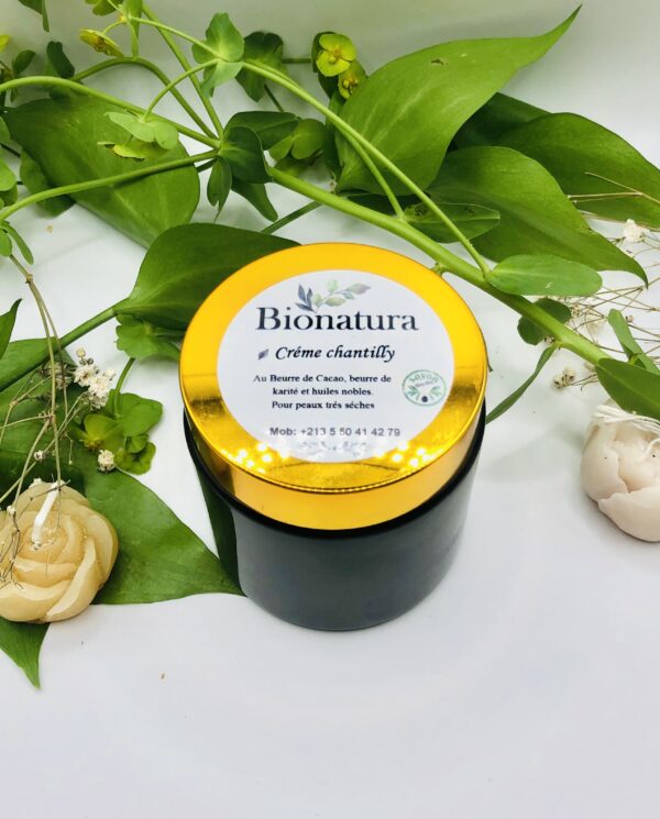 Crème chantilly BIONATURE