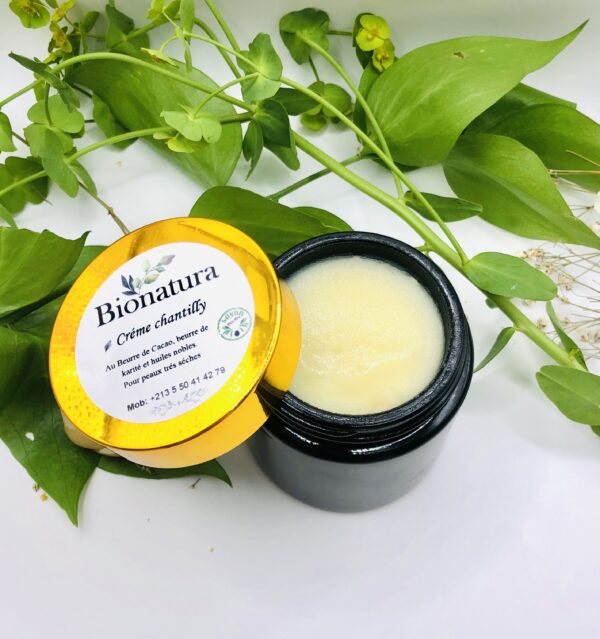 Crème chantilly BIONATURE