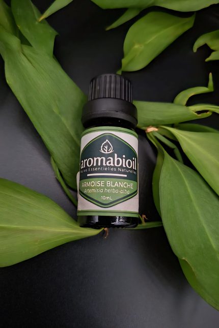 Armoise Blanche AROMABIOIL